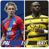Crystal Palace F.C. (1) Vs. Watford F.C. (0) Post Game GIF