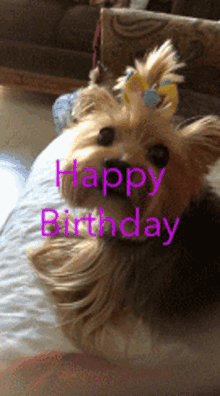 Happy Birthday Nodding GIF - Happy Birthday Nodding Cute Dog GIFs