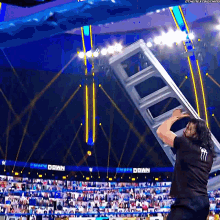 Roman Reigns Kevin Owens GIF - Roman Reigns Kevin Owens Ladders GIFs