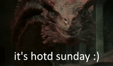 Hotd Sunday GIF - Hotd Sunday GIFs