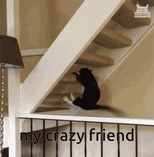 Cat Stairs GIF