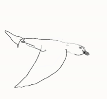 Animated Bird Flying GIFs | Tenor