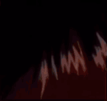 a close up of a person 's hair with a dark background .