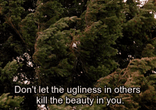 The Beauty GIF - The Beauty In GIFs