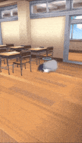 a classroom with desks and chairs and a gray cat