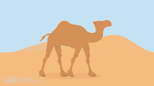 Camel Movement GIF - Camel Movement Desert GIFs