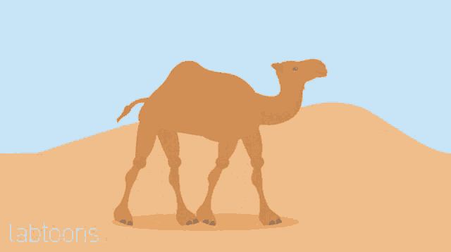 Camel Movement GIF - Camel Movement Desert - Discover & Share GIFs