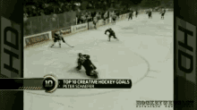 nhl hockey peter schaefer goal chip