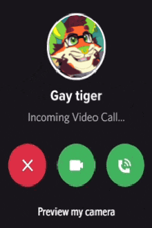 a screenshot of a video call with the name gay tiger on it