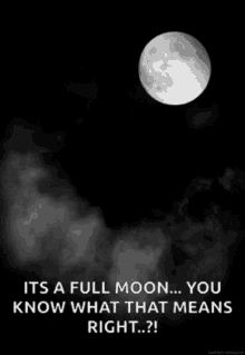 Full Moon Night GIF