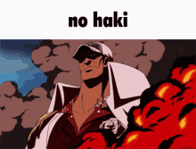 No Haki Akainu No Haki GIF - No Haki Akainu No Haki GIFs