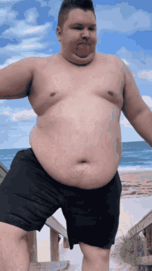 Fat Belly GIF - Fat Belly Nikocado Avocado GIFs