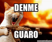 Denme Guaro Aguardiente GIF - Guaro Aguardiente GIFs