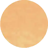 a circle with a white background and a few small dots on it