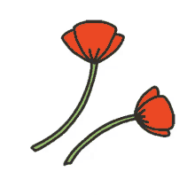 Poppies Flower GIF - Poppies Flower Colorful GIFs