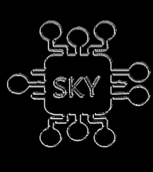 Skymyst Debilmyst GIF - Skymyst Debilmyst GIFs