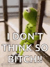 kermit the frog is sitting on a railing and saying `` i don 't think so bitch ! ``
