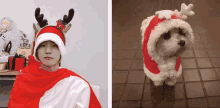 Baek Hyun Exo Christmas GIF - Baek Hyun Exo Christmas Puppy GIFs