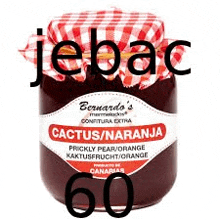 a jar of cactus / naranja prickly pear / orange cactus / frucht / orange marmelade .
