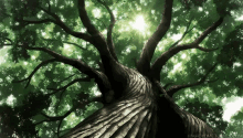 The Ancient Magus Bride Tree GIF - The Ancient Magus Bride Tree Leaves GIFs