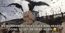 The Birds Attack GIF - The Birds Attack Crows GIFs