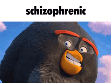 a picture of an angry bird with the words schizophrenic written above it