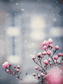 Rose Snow GIF - Rose Snow GIFs