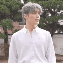 a man with gray hair is wearing a white shirt and standing in front of a tree .