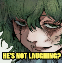 a drawing of a girl with green hair and the words " he 's not laughing "