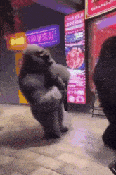 a gorilla is dancing in front of a restaurant with chinese writing