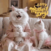 two white cats are sitting on a couch with a happy mother 's day greeting