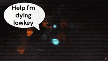 a speech bubble that says " help i 'm dying lowkey "