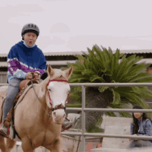 Riding Horse Tim Chantarangsu GIF - Riding Horse Tim Chantarangsu Ride On GIFs