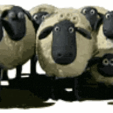 Shaun The Sheep Blinking GIF