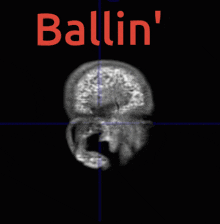 Ballin Balling GIF