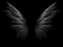 Angel Wings GIF - Angel Wings Angel Wings GIFs
