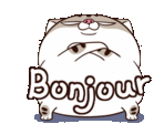 Ami Fat Cat Bonjour Sticker - Ami Fat Cat Bonjour Hello Stickers