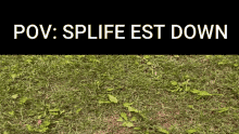 Splife Garrys Mod Splife GIF - Splife Garrys Mod Splife Splife Meme GIFs