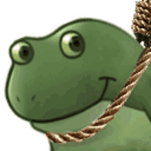 worry frog rope hang