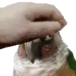a person is petting a parrot 's beak with their hand .