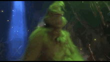 Grinch What Do You Want GIF - Grinch What Do You Want The Grinch GIFs