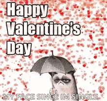 Funny Valentines Memes GIFs | Tenor
