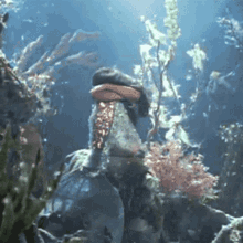 sirena mermaid underwater sad sea creatures
