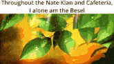throughout the nate klan and cafeteria i alone am the besl