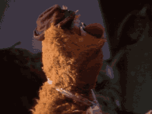 a close up of a teddy bear wearing a hat and a rope around its neck