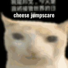 Cheese Cheese Jumpscare GIF