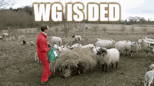 woolish wool wg wolfgame nftech