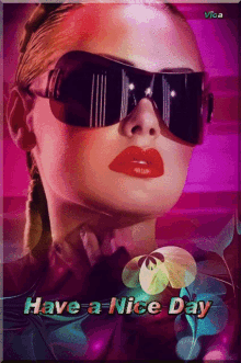 a picture of a woman wearing sunglasses with the words have a nice day on the bottom