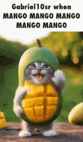 a cat is wearing a mango hat and holding a mango