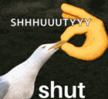 Seagull Meme GIF